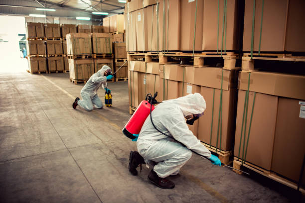 Pest Control Cost in Holyoke, MA