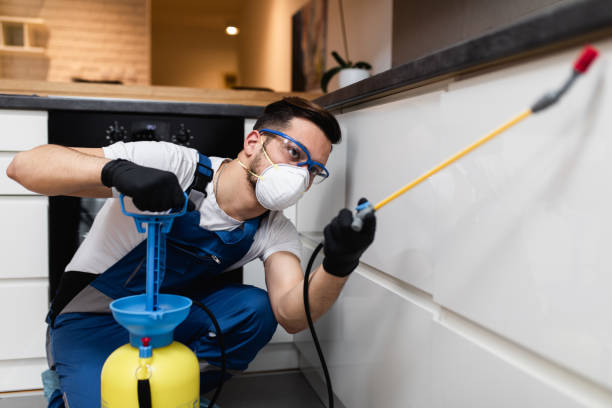 Pest Prevention Services in Holyoke, MA