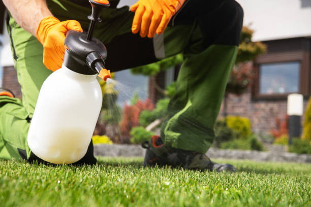 Best Termite Control Services  in Holyoke, MA