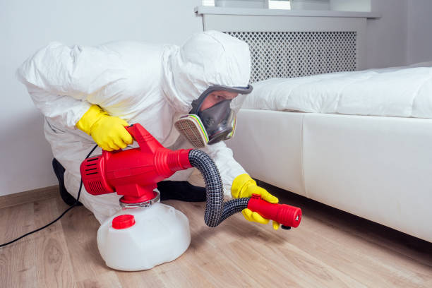 Reliable Holyoke, MA Pest Control Solutions