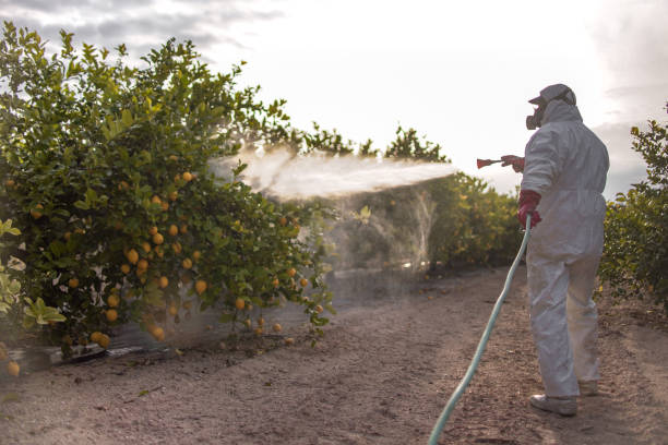 Best Affordable Pest Control Services  in Holyoke, MA