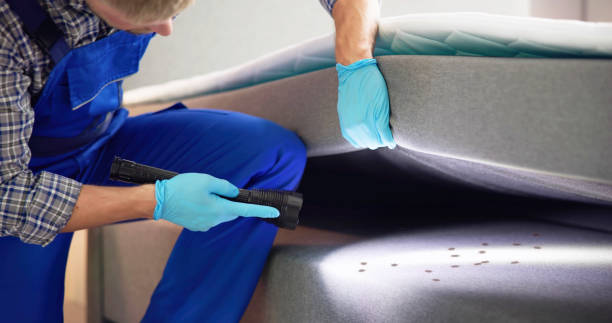 Best Commercial Pest Control Services  in Holyoke, MA