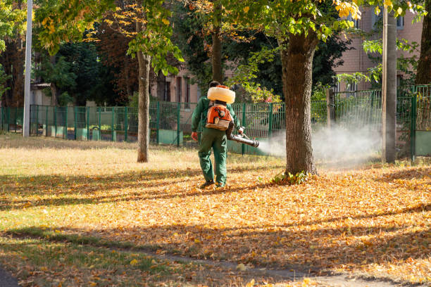Best Ant Control Services  in Holyoke, MA