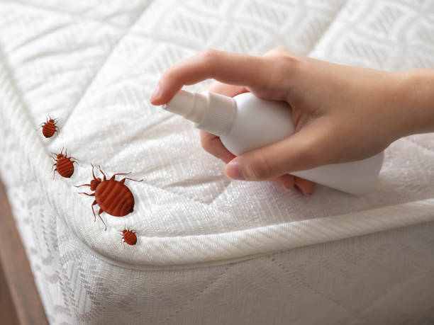 Best Pest Prevention Services  in Holyoke, MA