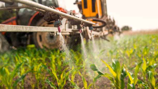 Best Mosquito Control Services  in Holyoke, MA