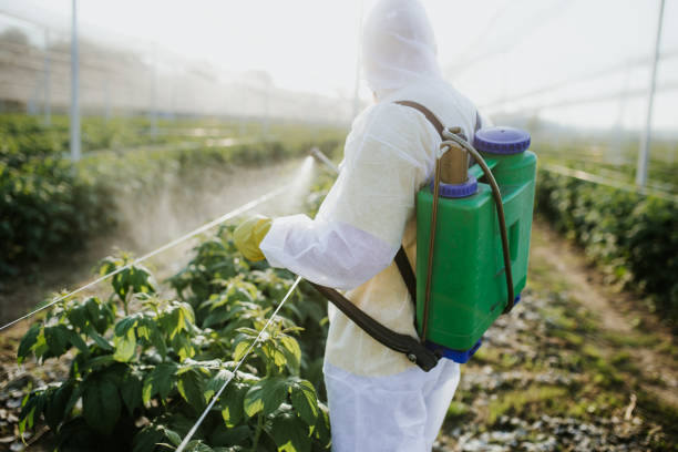 Best Emergency Pest Control  in Holyoke, MA